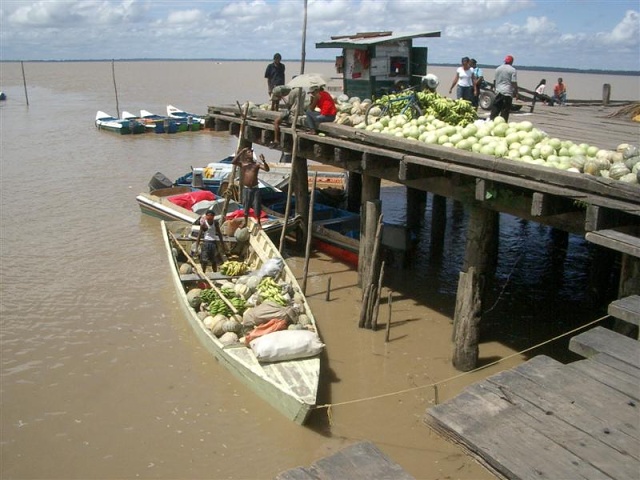 Stelling Van Parika